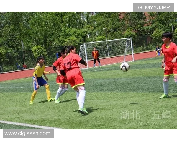 聚焦足球运动员成长之路与赛场拼搏精神全景深度解析未来趋势发展